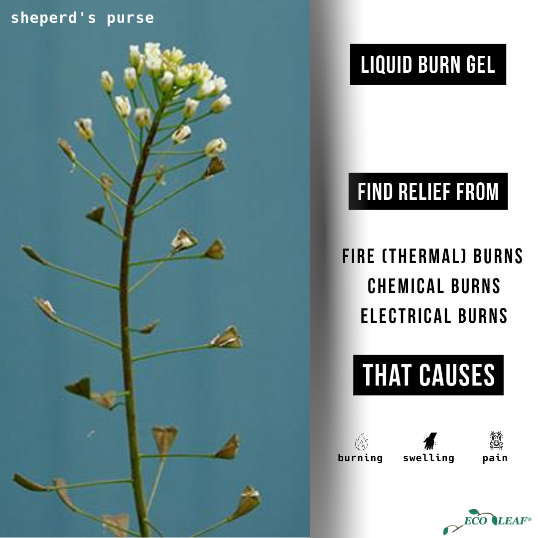 Burn (Liquid) Gel / Burn Relief Gel