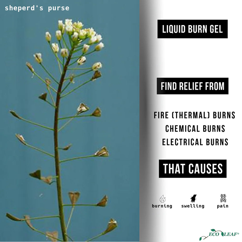 ECOLEAF Burn Relief Gel